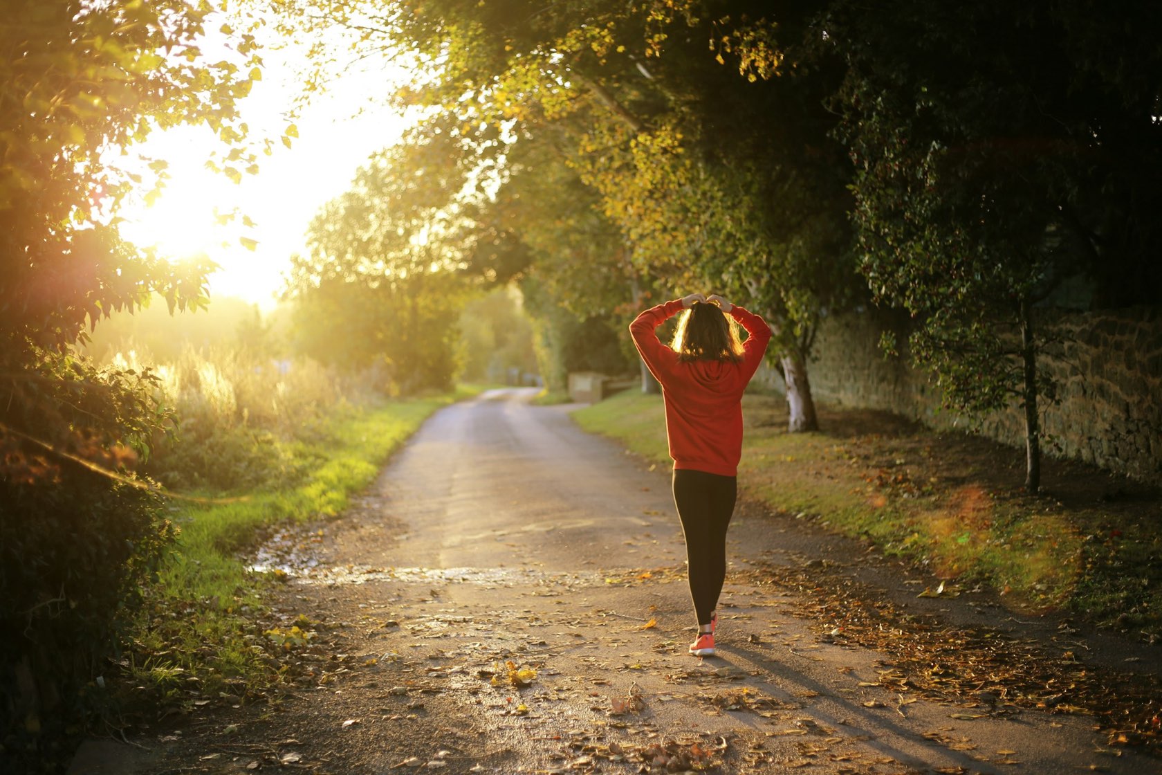 A person walking down a tree-lined country path in soft golden-hour light